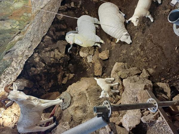 PER A QUE SERVIA UNA COVA A LA PREHISTÒRIA?