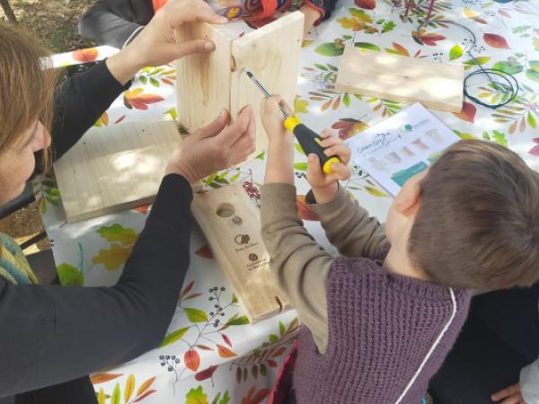 Jugateca del Parc Nou: Fem caixes niu i menjadores Jugateca del parc Nou: Fem caixes niu i menjadores