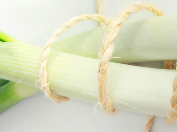Especial calçots 2024