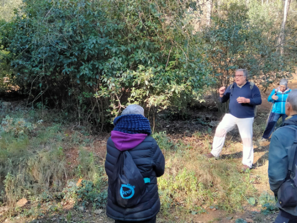 Sortida guiada: Flora dels boscos