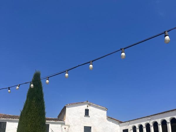 Verema al celler: Esmorzar, visita i trepitjada de raïms