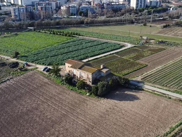 Visites amb esmorzar de pagès al Nano Farinetes 