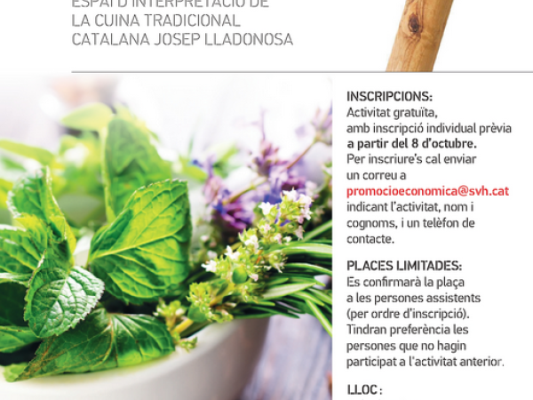 La cuina i les herbes aromàtiques
