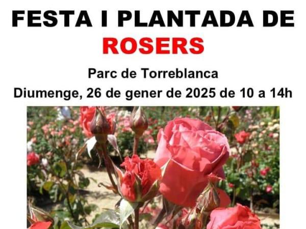 Festa i plantada de rosers al Parc de Torreblanca