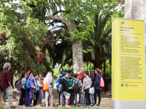 El refugi climàtic de la Dra. Shiva