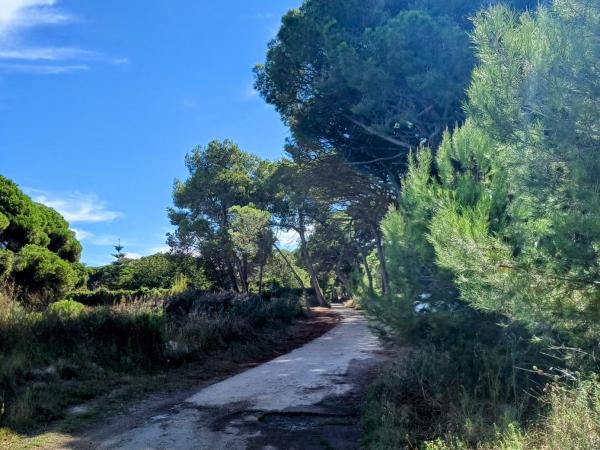 Marcha Nórdica Castelldefels desde el Canal Olímpico a Gavá