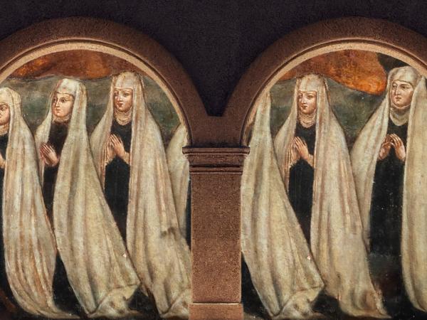 Visites guiades a l'Ermita de Sales. Les deodates de Sales.