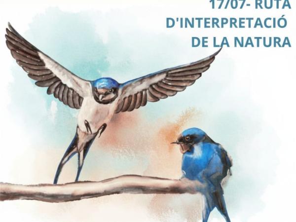 Bosc i ocells d'estiu