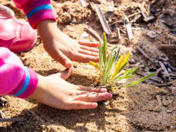Jugateca de la platja: Donem vida a les dunes (9a Acció Platges Met)