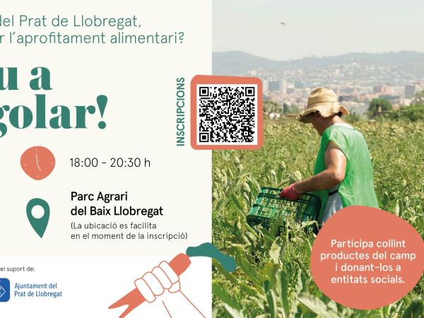 Espigolada popular al Parc Agrari del Baix Llobregat