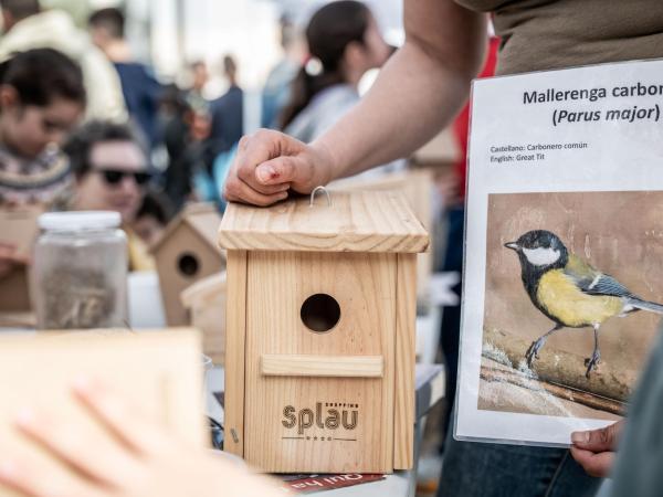 Splau col·labora en la 10a edició de la Festa del Riu amb activitats d’esport, natura i reforestació