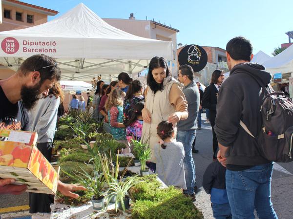 4a Fira de la tardor de Castellví de Rosanes