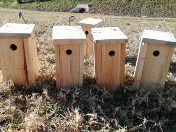 Jugateca del Parc del Riu: Fem caixes niu i menjadores Jugateca del parc del Riu: Fem caixes niu i menjadores