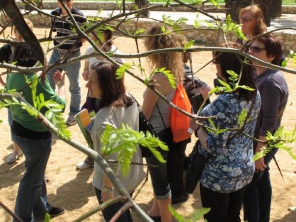 El Parc de Can Mercader. Una passejada pel jardí romàntic 