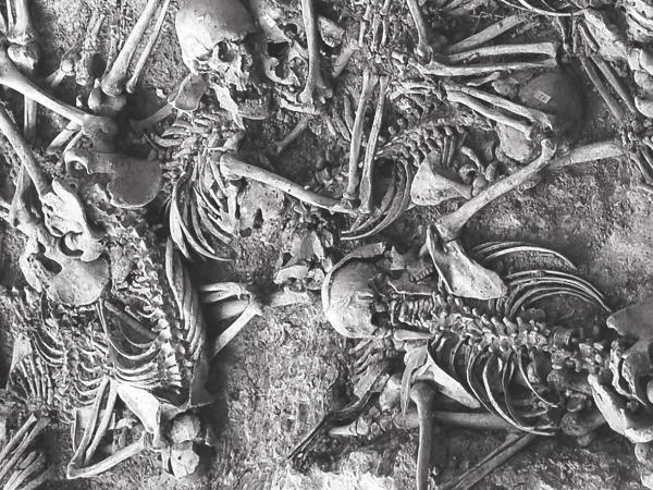 Exposició "On són? 85 anys d’exhumacions de fosses comunes de la Guerra Civil a Catalunya"