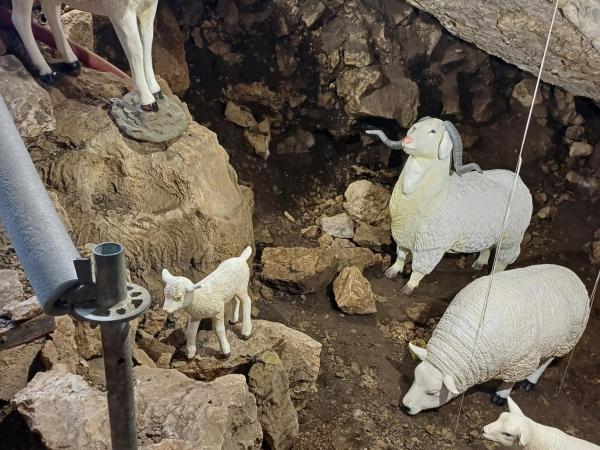 UN DIA AMB ELS ANCESTRES. Visita guiada a la cova de Can Sadurní