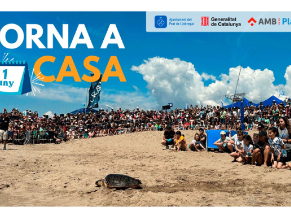 Torna a casa 2025
