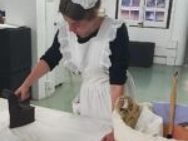 Visita lliure Can Negre i Torre de la Creu