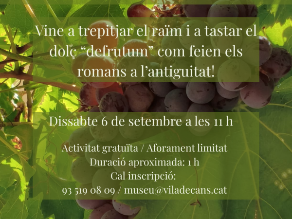 Temps de Verema