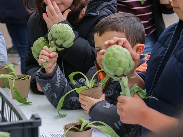 Taller de Carxofes