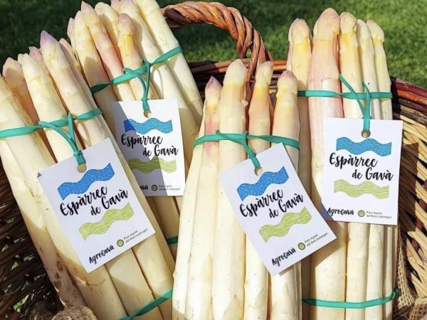 Fira Espàrrecs i GastroGavà