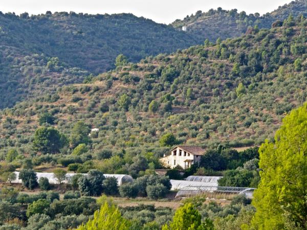 Cami de l'Oli - 1.JPG