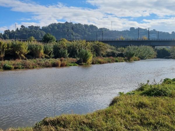 Parc Fluvial du Llobregat. Pallejà