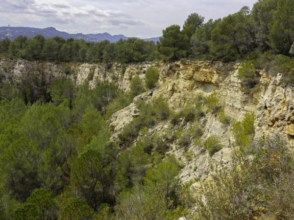 Pedreres de Pallejà