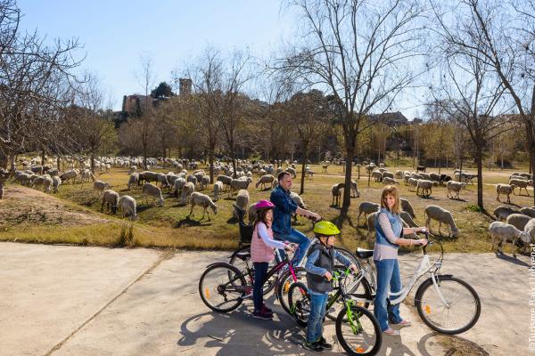 rutes i excursons - Turisme Baix Llobregat.jpg