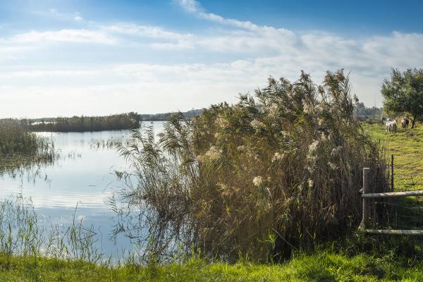 El Consorci de Turisme del Baix Llobregat impulsa la campanya educativa “Descobreix la Costa del Delta del Llobregat: un espai únic per aprendre i gaudir”  finançada per la Unió Europea-NextGenerationEU dins del PSTD Costa Barcelona Delta Llobregat