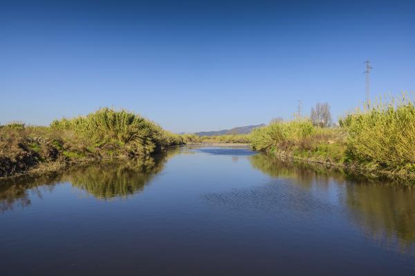 El Consorci de Turisme del Baix Llobregat impulsa la campanya educativa “Descobreix la Costa del Delta del Llobregat: un espai únic per aprendre i gaudir”  finançada per la Unió Europea-NextGenerationEU dins del PSTD Costa Barcelona Delta Llobregat