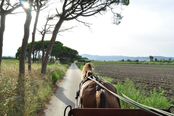 Nova edició de Sostibaix amb una quinzena plena d'activitats sostenibles al Baix Llobregat