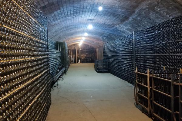 Els Punts d'Informació del Baix Llobregat visiten el Celler i Museu del Vi i del Cava Ramon Canals i el Balcó de Montserrat de Castellví de Rosanes