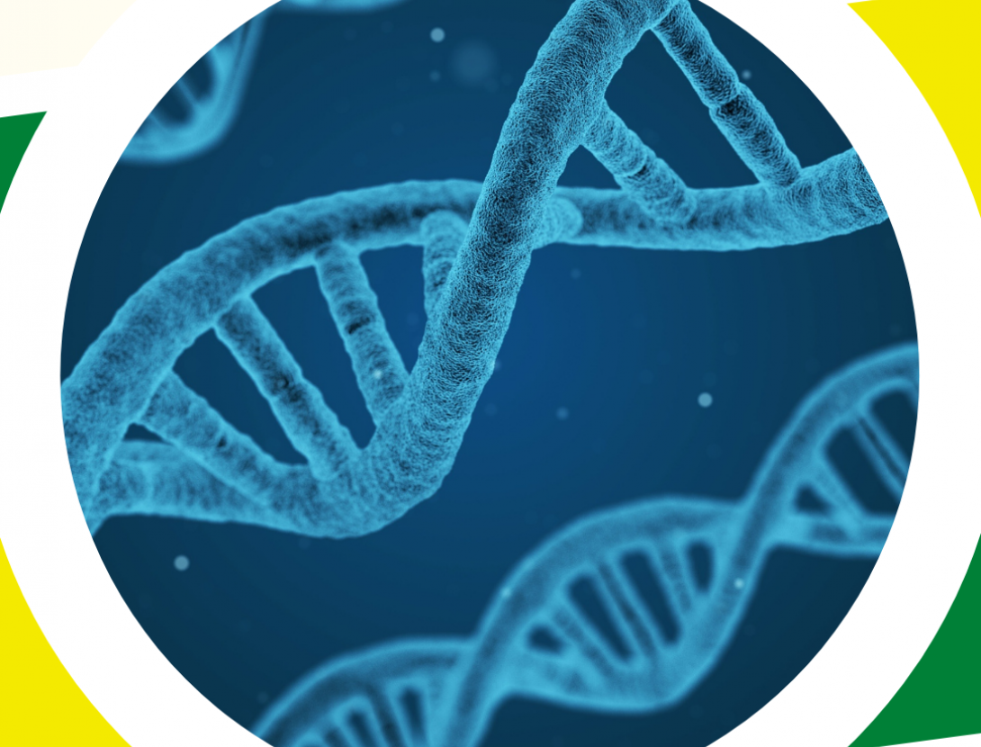 La biblioteca dels gens: per què som com som?