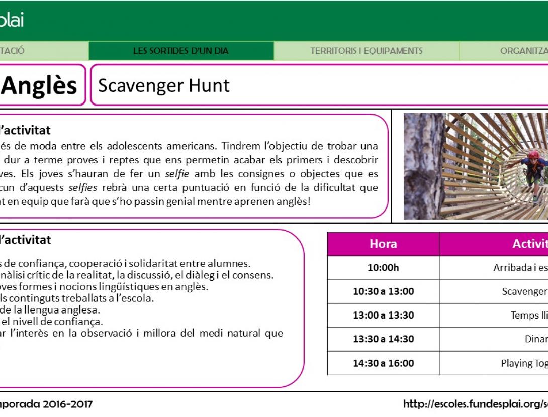 Cal Ganxo_Scavenger.jpg