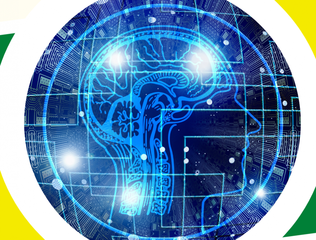 No perdis el seny! Descobreix el funcionament del teu cervell