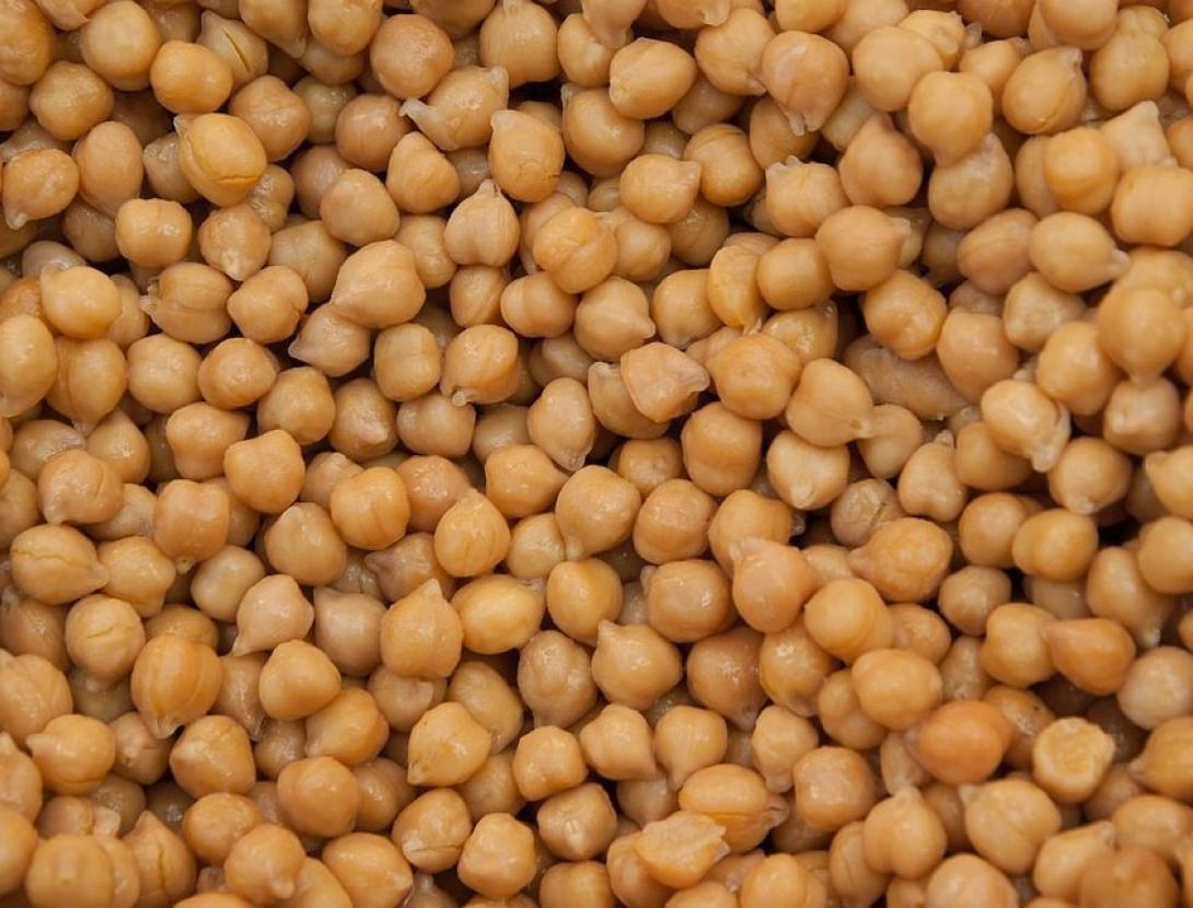 Cuinem per al planeta