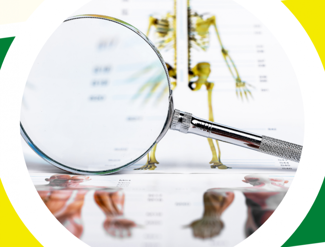 CSI: Investiguem el cos humà