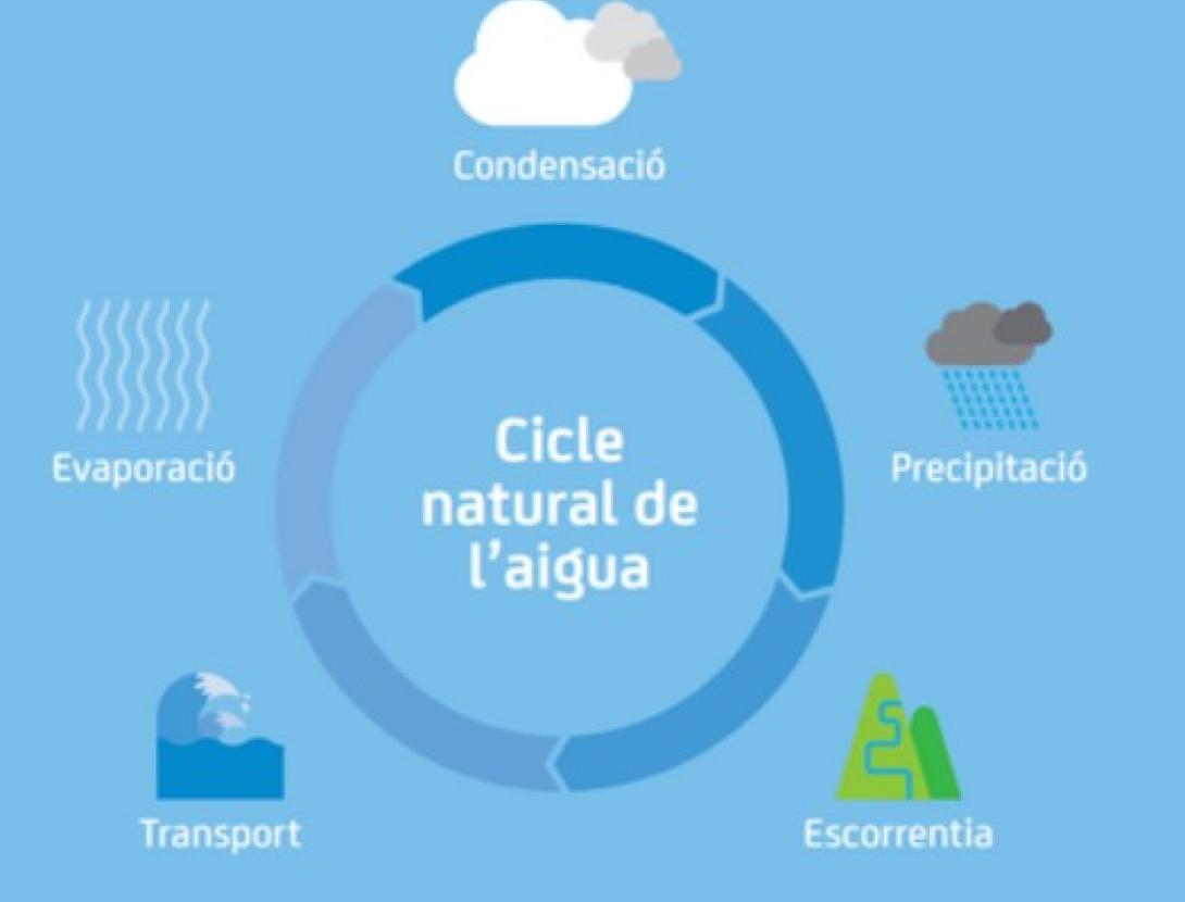 El cicle de l'aigua: cada gota val mil!