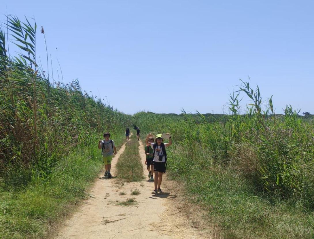 Ocells del Delta