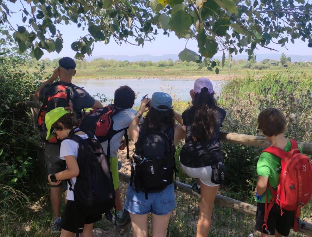 Ocells del Delta