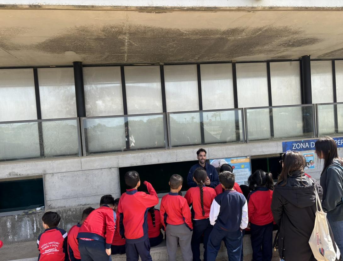 VISITA GUIADA