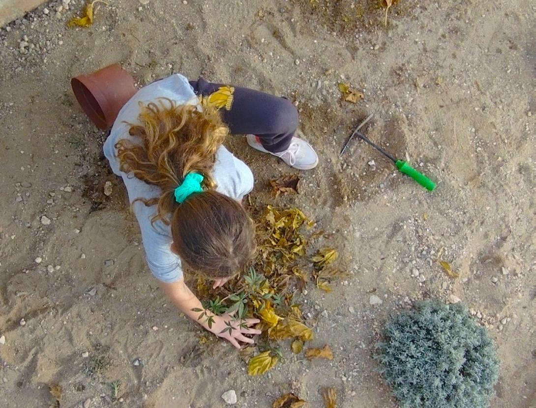 Plantació de vegetació autòctona als patis escolars