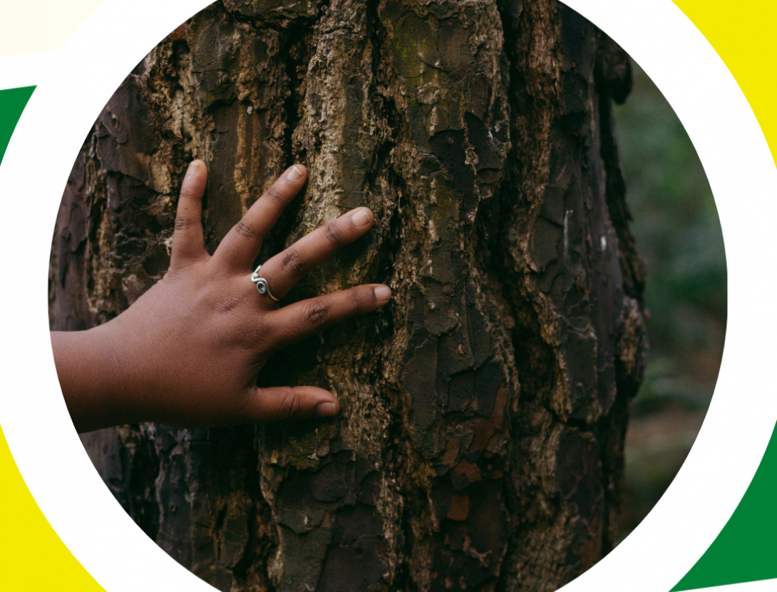 Sent el bosc: despertant els sentits!