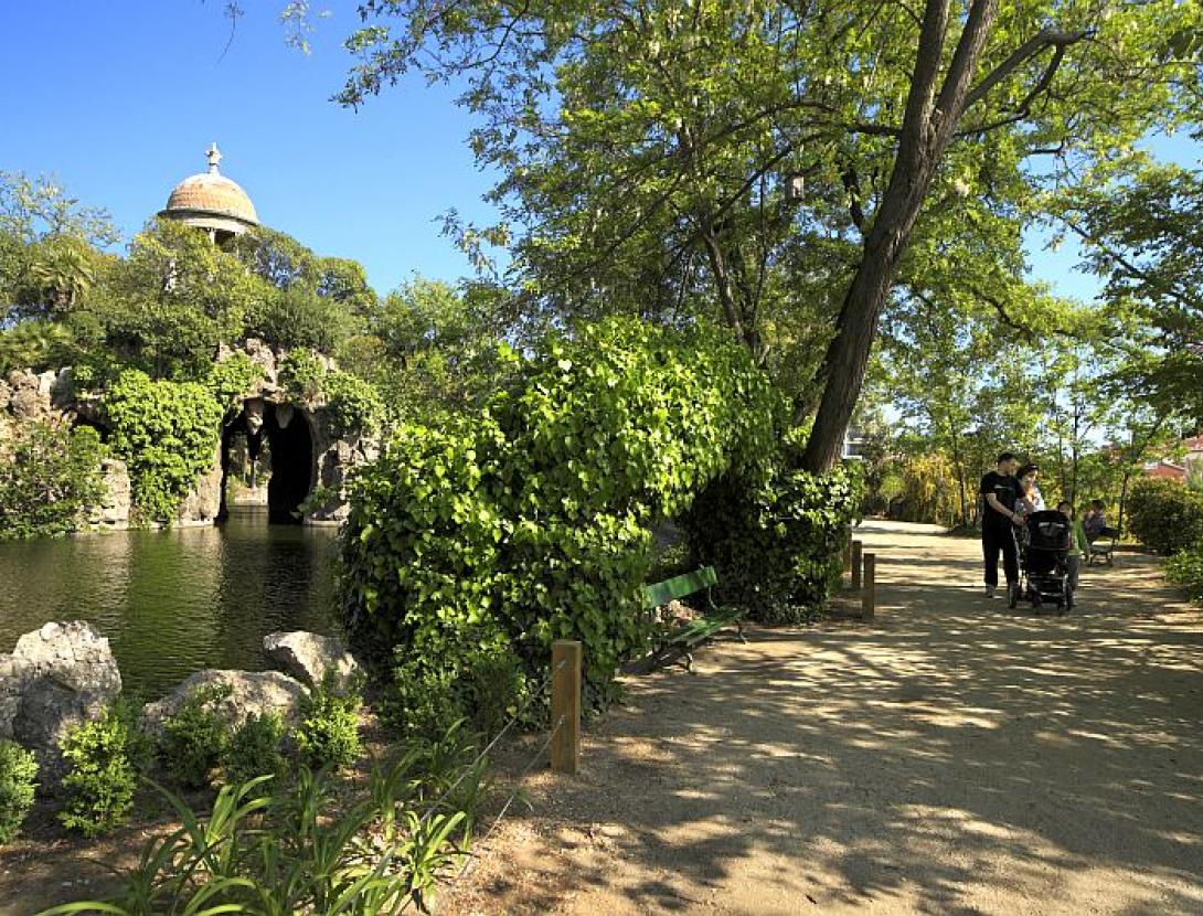 La vegetació singular del parc de Torreblanca