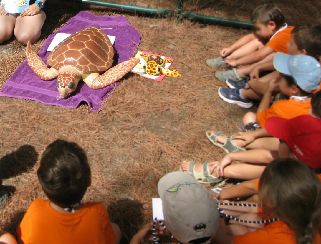 Visita-conte: La Tortuga Flora i els Tuguets Visita dinamitzada a les instal·lacions de la Fundació CRAM
