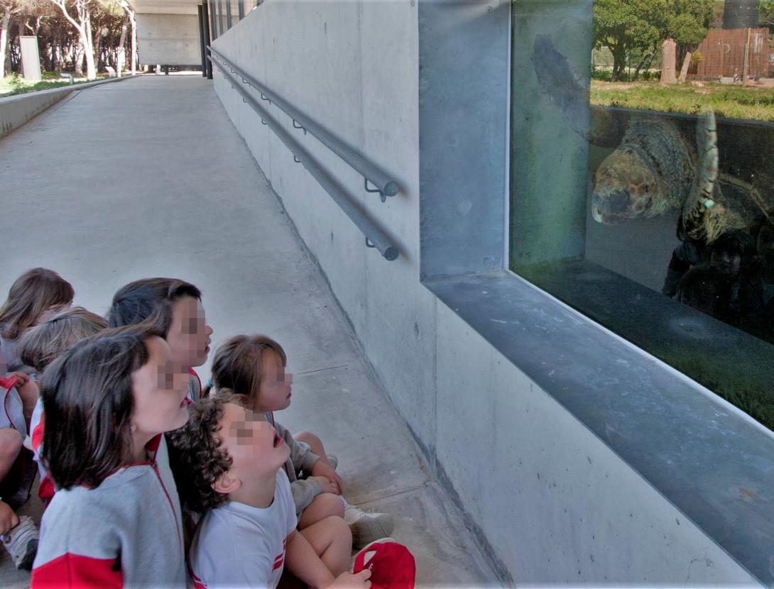 Visita dinamitzada al CRAM Visita dinamitzada a les instal·lacions de la Fundació CRAM