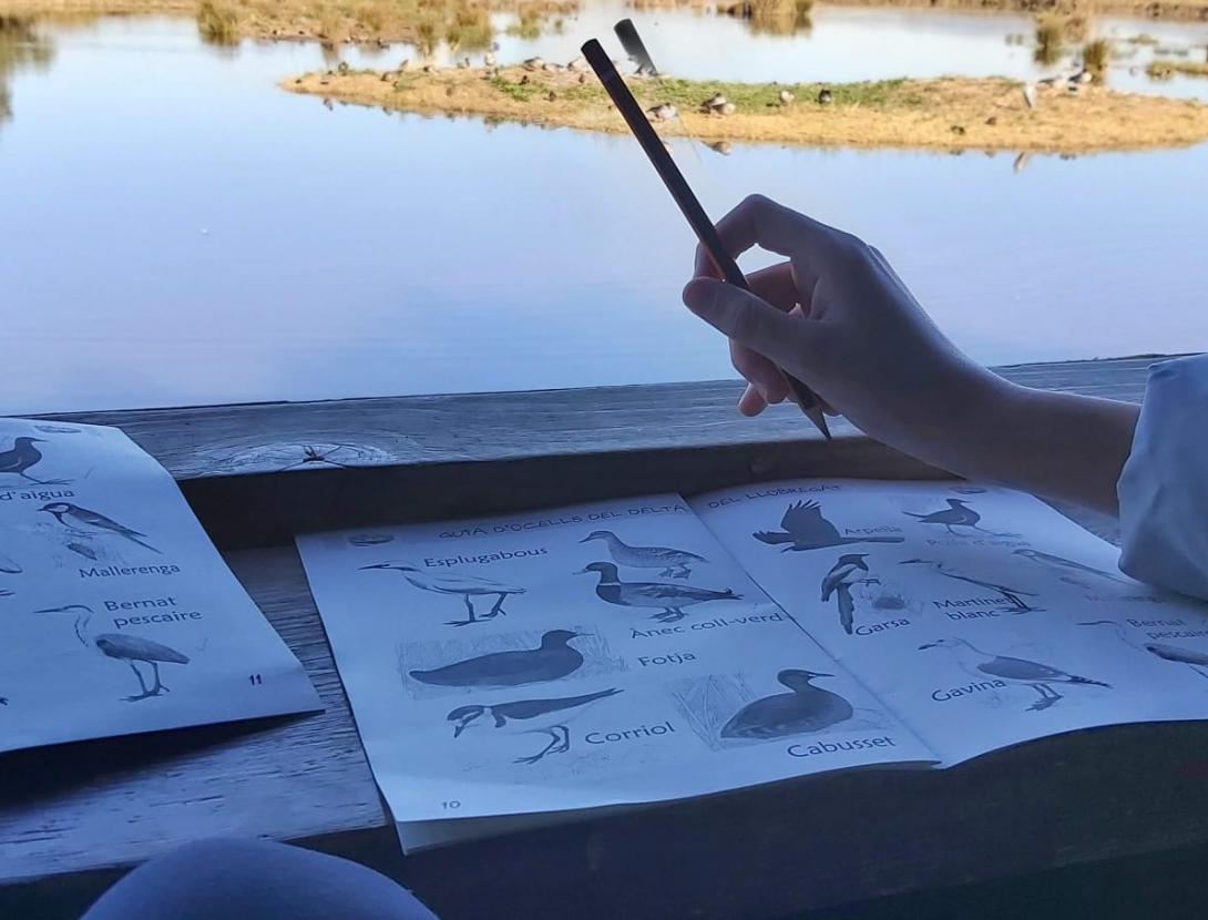 Investiguem el Remolar