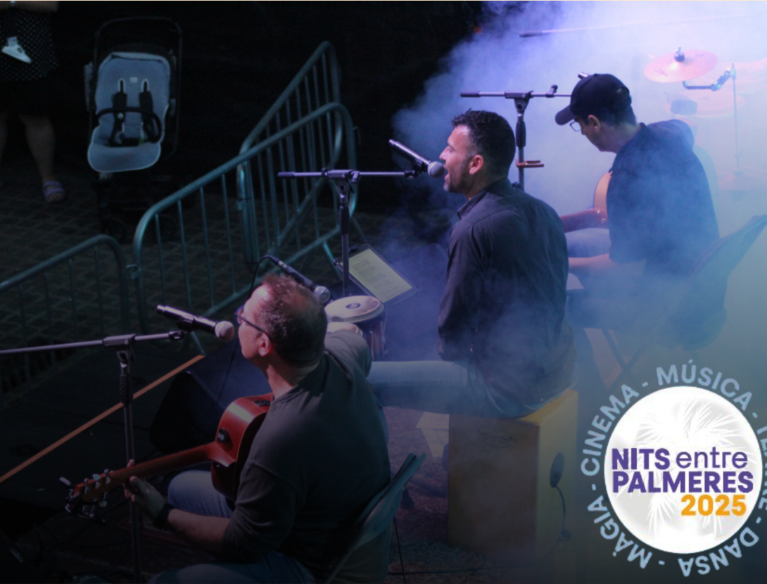 Nits entre Palmeres: VOVO Music