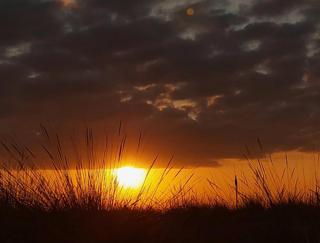 Capvespres en carruatge CAPVESPRES EN CARRUATGE